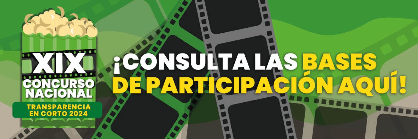 Participa en el Concurso Nacional Transparencia en Corto 2024